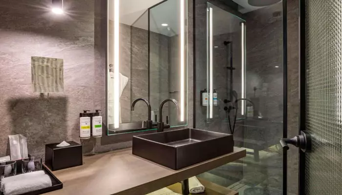 هتل پولمن اکسس تاورز تفلیس